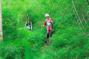 BIB: 
                            <button type="button" onclick="openModal(22094360)" class="btn btn-primary btn-sm float-right btn-popup" data-toggle="modal" data-target=".modal-high-quality">
                        <i class="fas fa-shopping-cart"></i> Add to Cart
                    </button>
                                            <button type="button" onclick="isThisMe(22094360, true)" class="btn btn-success btn-sm float-right btn-popup btn-isme hidden" data-toggle="tooltip" data-placement="bottom" title="นี่คือรูปของคุณใช่ไหม คลิกที่นี่เพื่อเอาเข้าอัลบั้ม">
                        <i class="fas fa-plus"></i> Add to album
                    </button>
                    <button type="button" onclick="isThisMe(22094360, false)" class="btn btn-warning btn-sm float-right btn-popup btn-isnotme hidden">
                        <i class="fas fa-ban"></i> Remove from album
                    </button>